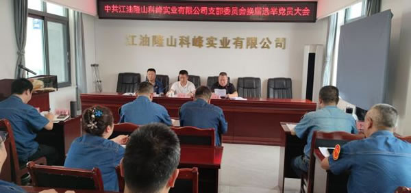 公司黨支部召開黨員大會 謀劃未來三年黨建新藍圖2.jpg